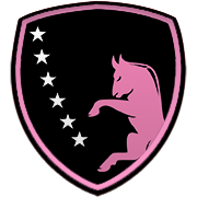 워싱턴 위저즈 엠블럼