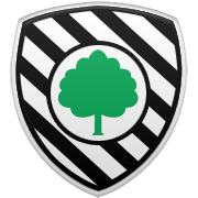 올랜도 매직 엠블럼