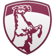 보스턴 셀틱스 엠블럼